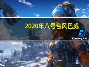 2020年八号台风巴威（台风巴威-2008年第18号台风简介）