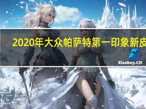 2020年大众帕萨特第一印象新皮肤