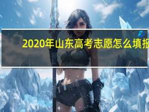2020年山东高考志愿怎么填报