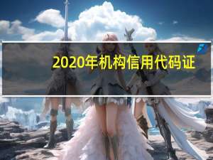 2020年机构信用代码证（机构信用代码证到期怎么办）