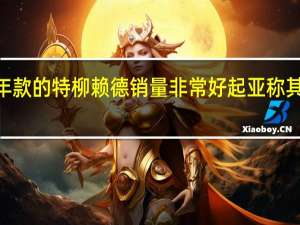 2020年款的特柳赖德销量非常好起亚称其为自动售车