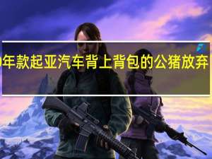 2020年款起亚汽车 背上背包的公猪放弃了一次行动