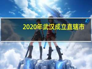 2020年武汉成立直辖市