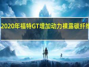 2020年福特GT增加动力裸露碳纤维车身