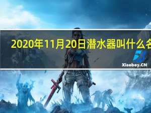 2020年11月20日潜水器叫什么名字