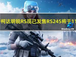 2020斯柯达明锐RS现已发售 RS245将于11月推出