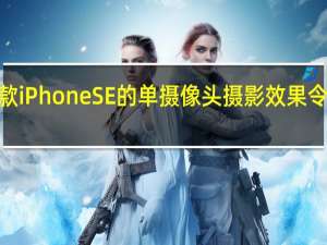 2020款iPhone SE的单摄像头摄影效果令人印象深刻