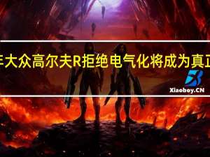2021年大众高尔夫R拒绝电气化 将成为真正的驱动机器
