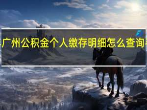 2021年广州公积金个人缴存明细怎么查询　手机怎么查询