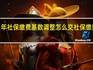 2021年社保缴费基数调整怎么交 社保缴费基数将调