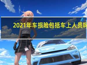 2021年车损险包括车上人员吗（2021年车损险包括什么）