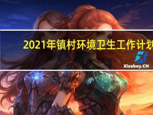 2021年镇村环境卫生工作计划（集镇和农村环境卫生年终总结）