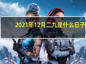 2021年12月二九是什么日子（二九天是什么意思）