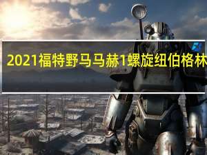 2021福特野马马赫1螺旋纽伯格林测试