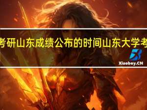 2021考研山东成绩公布的时间 山东大学考研成绩查询