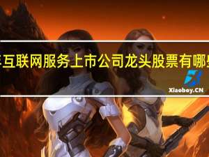 2022年互联网服务上市公司龙头股票有哪些你了解过吗