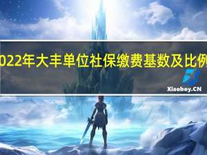 2022年大丰单位社保缴费基数及比例一览表