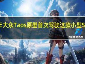 2022年大众Taos原型首次驾驶这款小型SUV需要出色