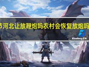 2022年春节河北让放鞭炮吗农村会恢复放炮吗附各地最新规定！