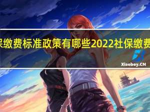 2022年最新社保缴费标准政策有哪些2022社保缴费基数是多少<meta　