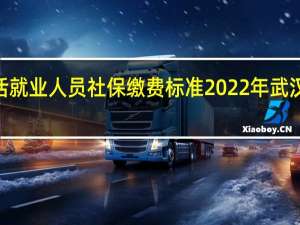 2022年武汉灵活就业人员社保缴费标准 2022年武汉灵活就业社保交多少