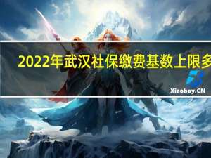 2022年武汉社保缴费基数上限多少，武汉社保最高交多少钱一个月