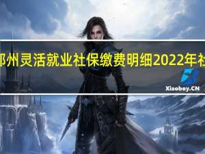 2022年郑州灵活就业社保缴费明细 2022年社保缴费明细表