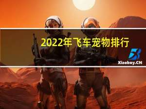 2022年飞车宠物排行