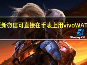 2022年07月12日更新 微信可直接在手表上用 vivo WATCH 2将正式上线这一功能