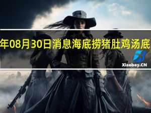 2022年08月30日消息 海底捞猪肚鸡汤底系粉料冲泡