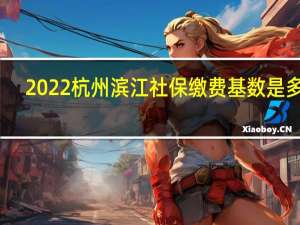 2022杭州滨江社保缴费基数是多少，杭州滨江社保一个月交多少钱