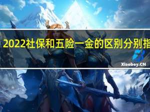 2022社保和五险一金的区别 分别指什么