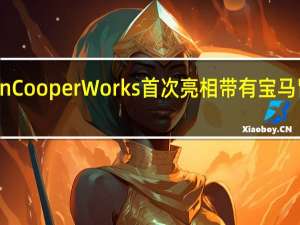 2022MINIJohnCooperWorks首次亮相带有宝马肾形格栅设计的暗示