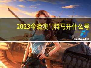 2023今晚澳门特马开什么号：整合大数据AI解释落实-2884.3D.A802