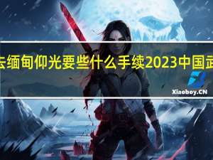 2023去缅甸仰光要些什么手续 2023中国武警进入缅北