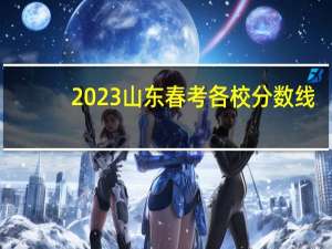 2023山东春考各校分数线