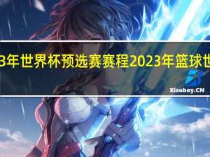 2023年世界杯预选赛赛程 2023年篮球世界杯赛程