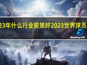 2023年什么行业前景好 2023世界球员身价排行