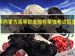 2023年内蒙古高等职业院校单独考试招生流程是什么？