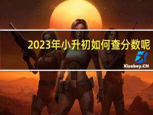 2023年小升初如何查分数呢
