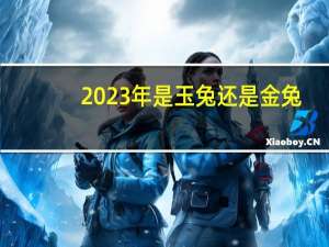 2023年是玉兔还是金兔