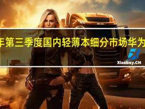 2023年第三季度国内轻薄本细分市场华为份额达到24.3%