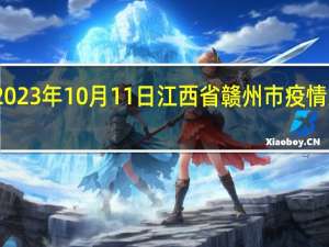 2023年10月11日江西省赣州市疫情大数据-今日/今天疫情全网搜索最新实时消息动态情况通知播报