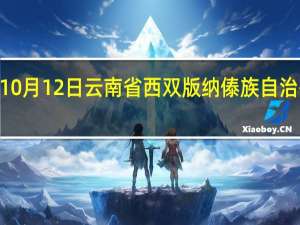 2023年10月12日云南省西双版纳傣族自治州疫情大数据-今日/今天疫情全网搜索最新实时消息动态情况通知播报