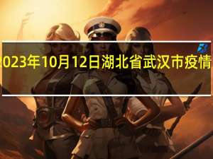 2023年10月12日湖北省武汉市疫情大数据-今日/今天疫情全网搜索最新实时消息动态情况通知播报