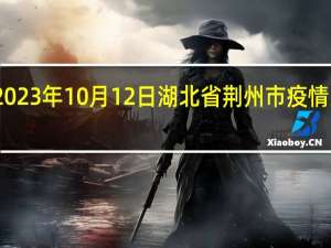2023年10月12日湖北省荆州市疫情大数据-今日/今天疫情全网搜索最新实时消息动态情况通知播报