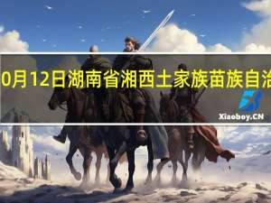 2023年10月12日湖南省湘西土家族苗族自治州疫情大数据-今日/今天疫情全网搜索最新实时消息动态情况通知播报