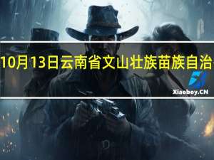 2023年10月13日云南省文山壮族苗族自治州疫情大数据-今日/今天疫情全网搜索最新实时消息动态情况通知播报