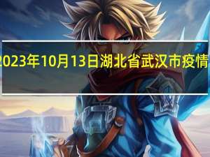 2023年10月13日湖北省武汉市疫情大数据-今日/今天疫情全网搜索最新实时消息动态情况通知播报