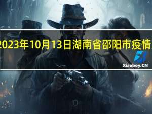 2023年10月13日湖南省邵阳市疫情大数据-今日/今天疫情全网搜索最新实时消息动态情况通知播报